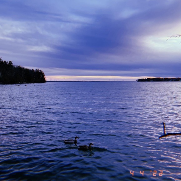 Meet your Posher, Flora - Picture 1 of 1